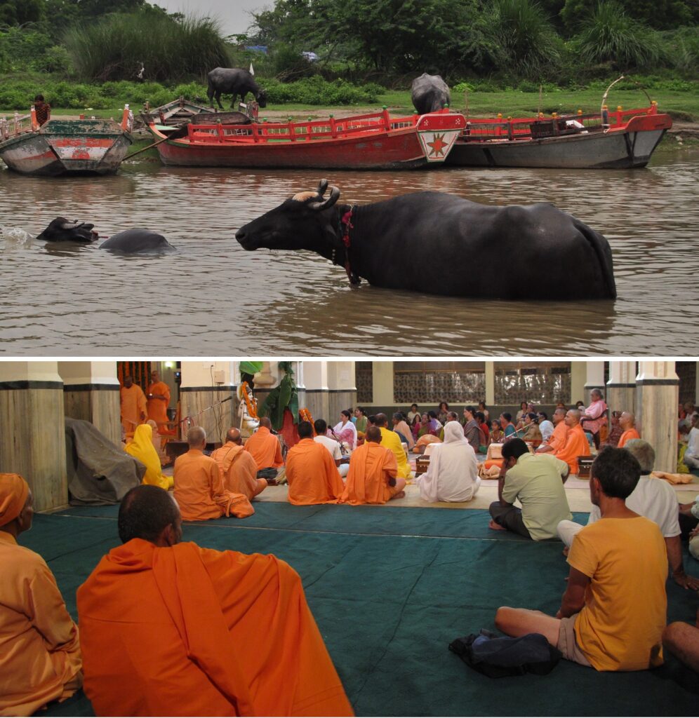 Viajar a India es disfrutar y aprender.